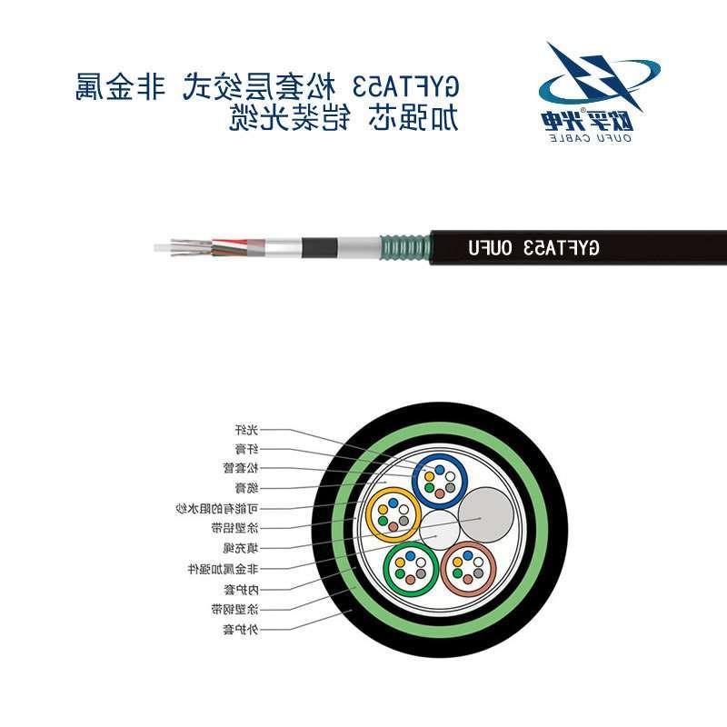 东丽区GYFTA53光缆