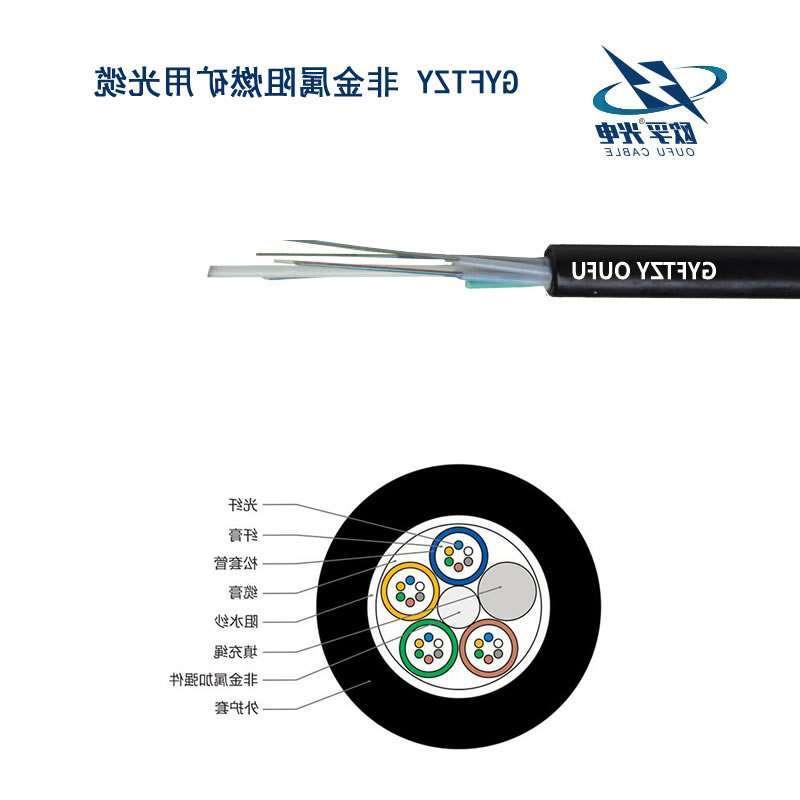 东丽区GYFTZY光缆