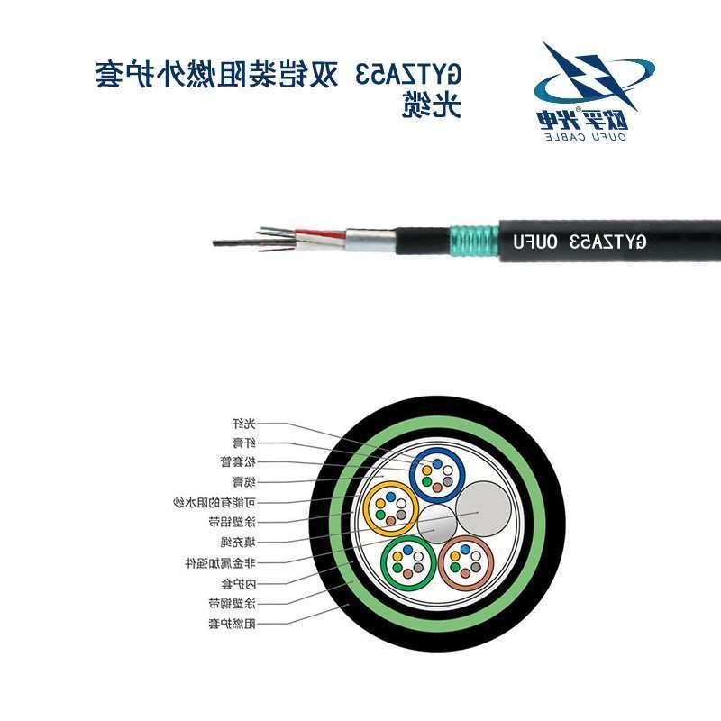 东区GYTZA53光缆